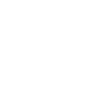 WISE logo